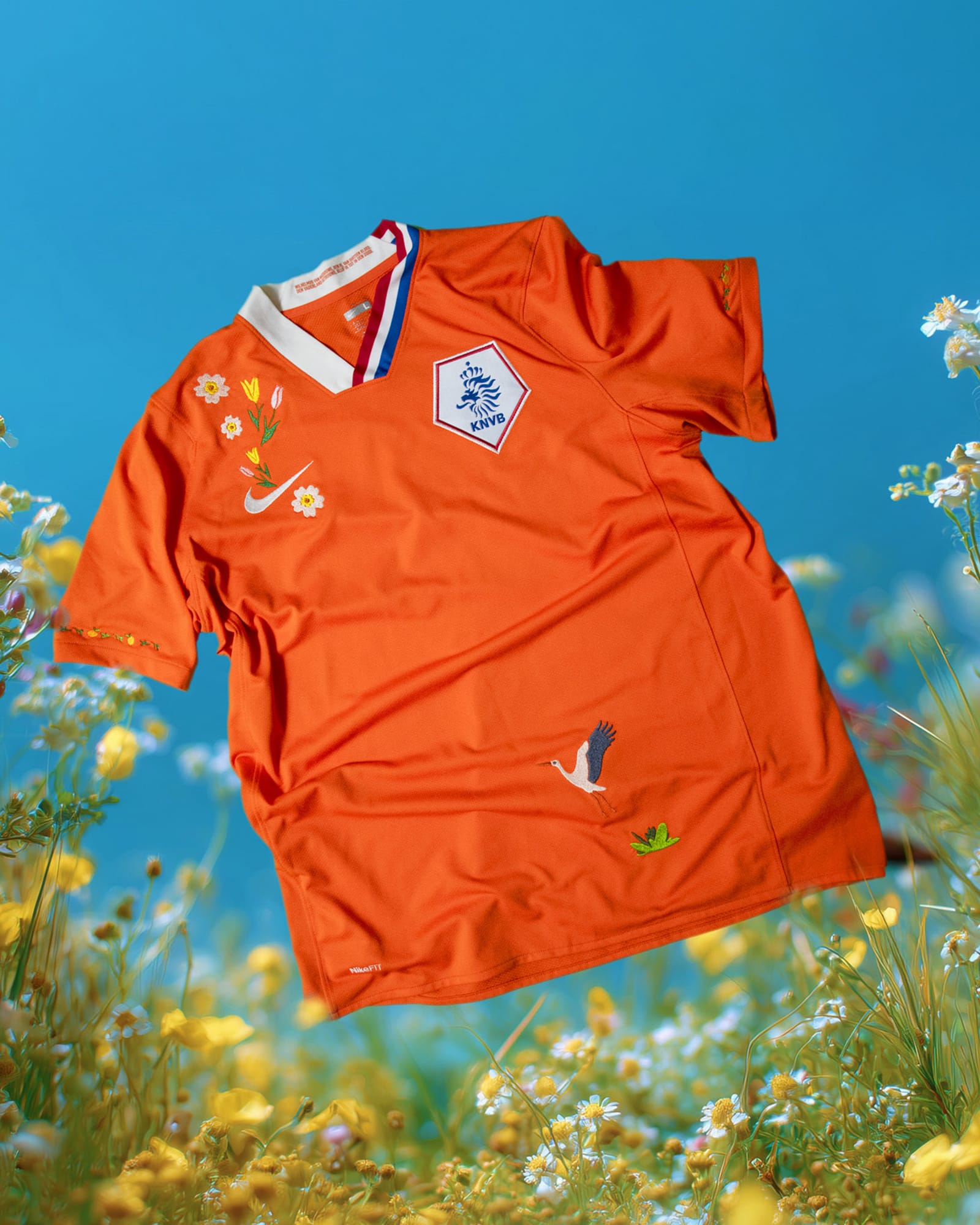 Netherlands 2008-2010 (Home)